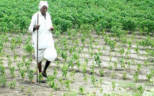 భారీ వర్షం ప్రకాశం - హిందూ