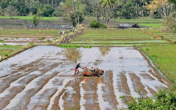 వ్యవసాయ కార్మికుల ఆత్మహత్యలు 2020లో 18% పెరిగాయి