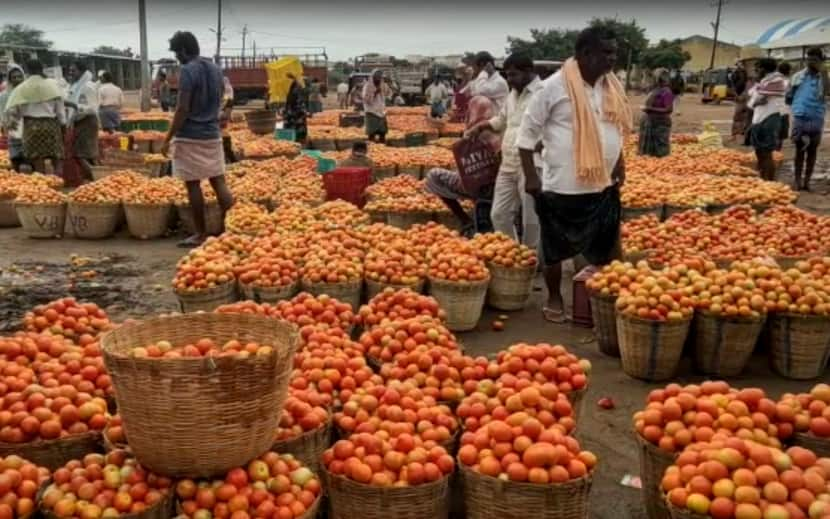 అకాల వర్షాల కారణంగా ఢిల్లీలో కూరగాయలు ధర పెరుగుతాయి, ఇంధన ధరల పెరుగుదల.  ఇక్కడ ధరలను తనిఖీ చేయండి