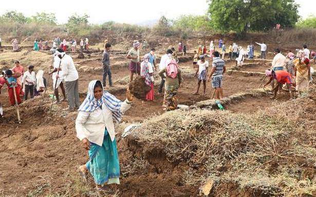 తెలంగాణలో NREGS వ్యక్తి రోజులు క్షీణించాయి: అధ్యయనం