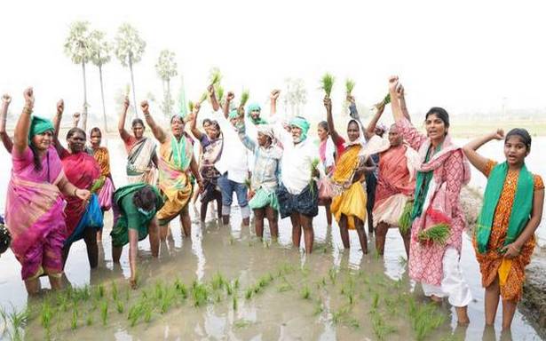 ప్రభుత్వ  మా ప్రాథమిక హక్కులను ఉల్లంఘించడం: రైతులు