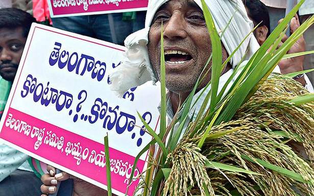 రైతులు వరి సాగును తగ్గించారు