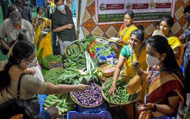 విశాఖ ఆర్గానిక్ మేళాలో ఎంచుకోవడానికి పుష్కలంగా ఉన్నాయి