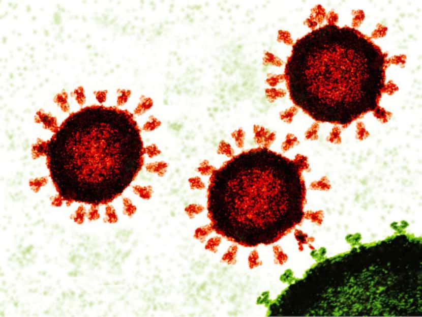 Spike Protein Covid-19 Vaccines May Be Effective Against Multiple Variants Of Novel Coronavirus IIT Madras Study