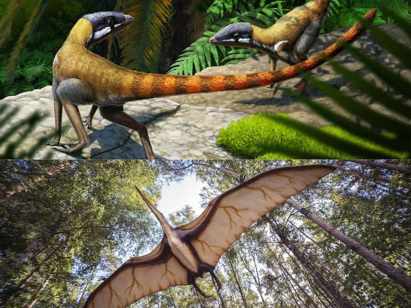 A Century After Its Discovery, Dinosaur's Evolutionary Links With Extinct Flying Reptiles Established