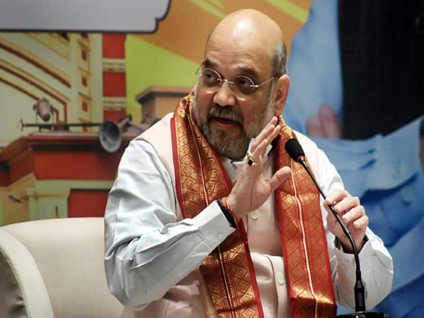 Asiatic Water Snake, 5-Foot Long, Spotted At Amit Shah's Residence