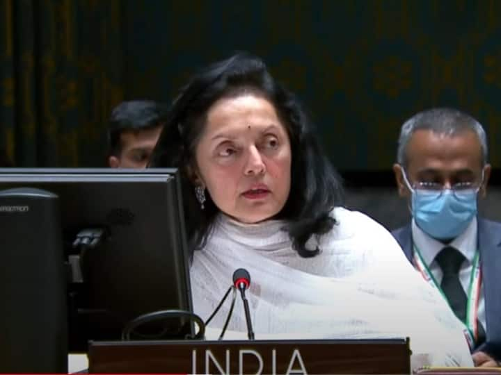 Russia Vetoes UNSC Resolution Condemning ‘Illegal Referenda’ In Ukraine, India Calls For 'Return To The Negotiating Table'