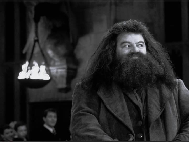 Veteran Actor Robbie Coltrane, Who Played Hagrid In Harry Potter Films, Dies At 72