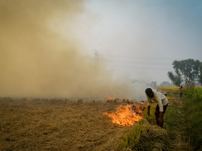 UP Govt Mulls Stringent Legal Action Amid Rising Stubble Burning Cases