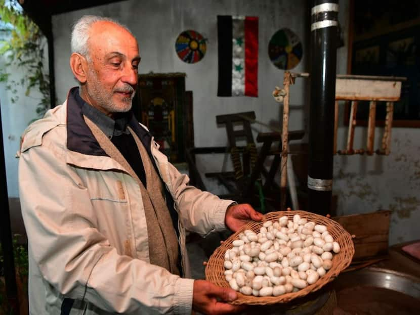 Silkworm Breeder Fights To Keep Sericulture Alive In Syria