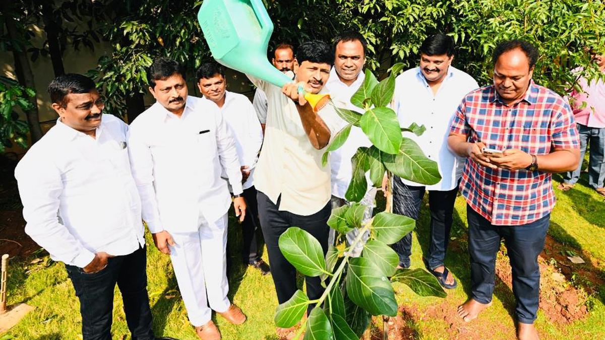 మొక్కలు నాటడం ద్వారా నూతన సంవత్సరానికి స్వాగతం పలుకుతామన్నారు టీఆర్‌ఎస్ ఎంపీ