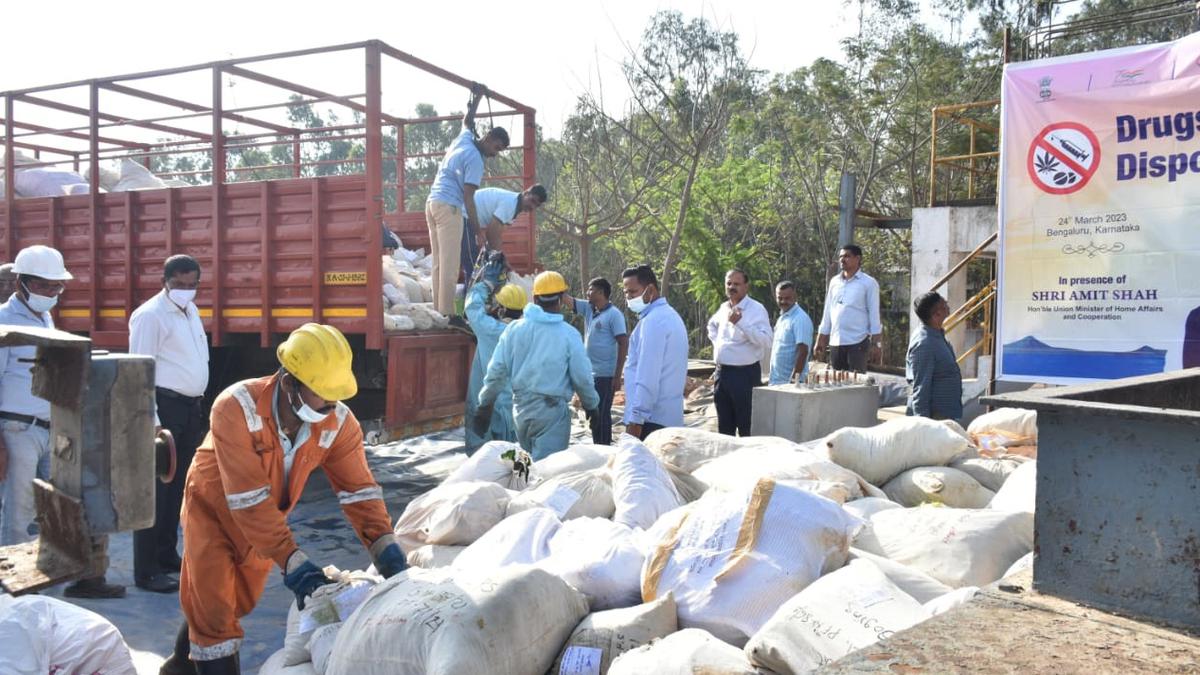 'డ్రగ్ డీలర్లకు పునర్వినియోగపరచలేని ఆదాయ ప్రధాన లక్ష్యంతో యువ, విద్యావంతులైన జనాభా'