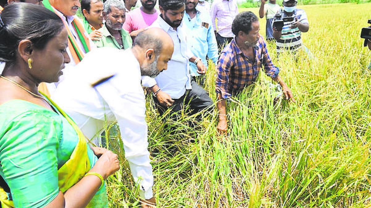 భారీ పంట నష్టపోయిన రైతులను ఆదుకోండి: బండి సంజయ్ కుమార్